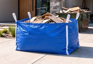 Dumpster Bag